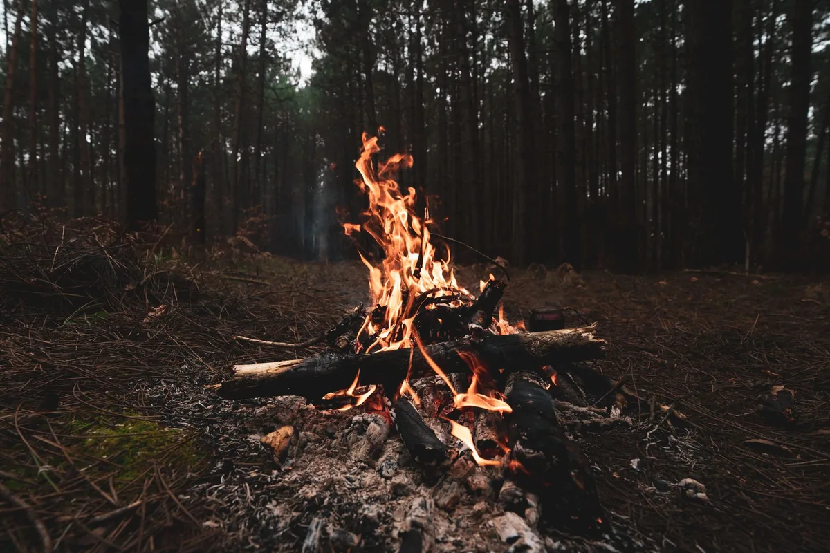 A forest camp