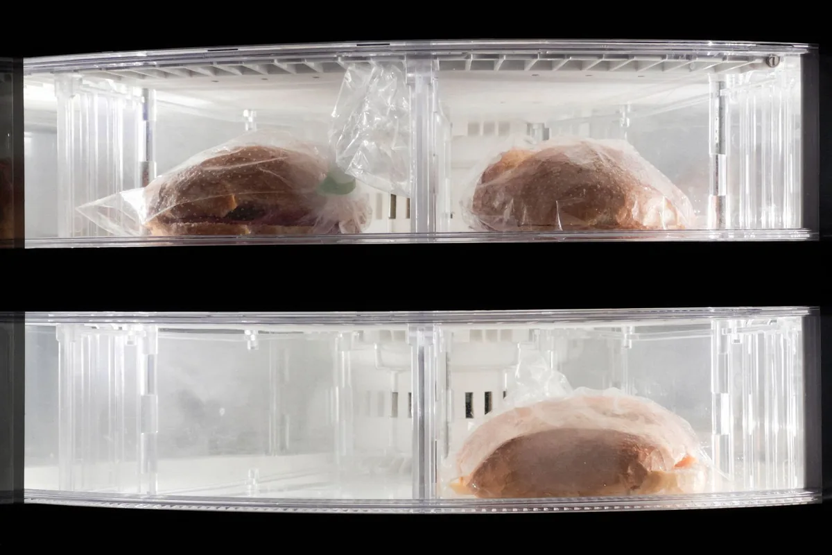 A chest freezer packed with food