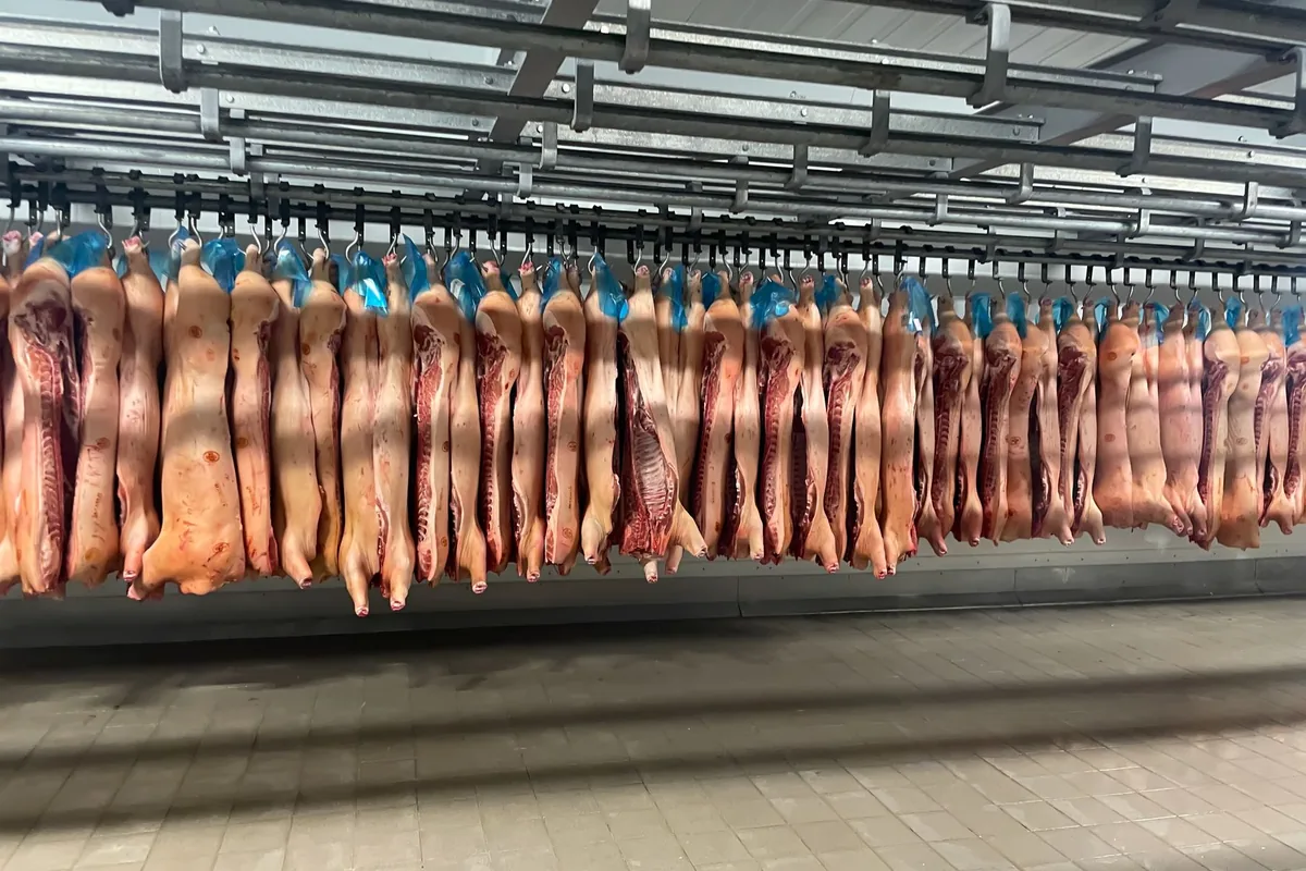 Meat hanging in a cold store