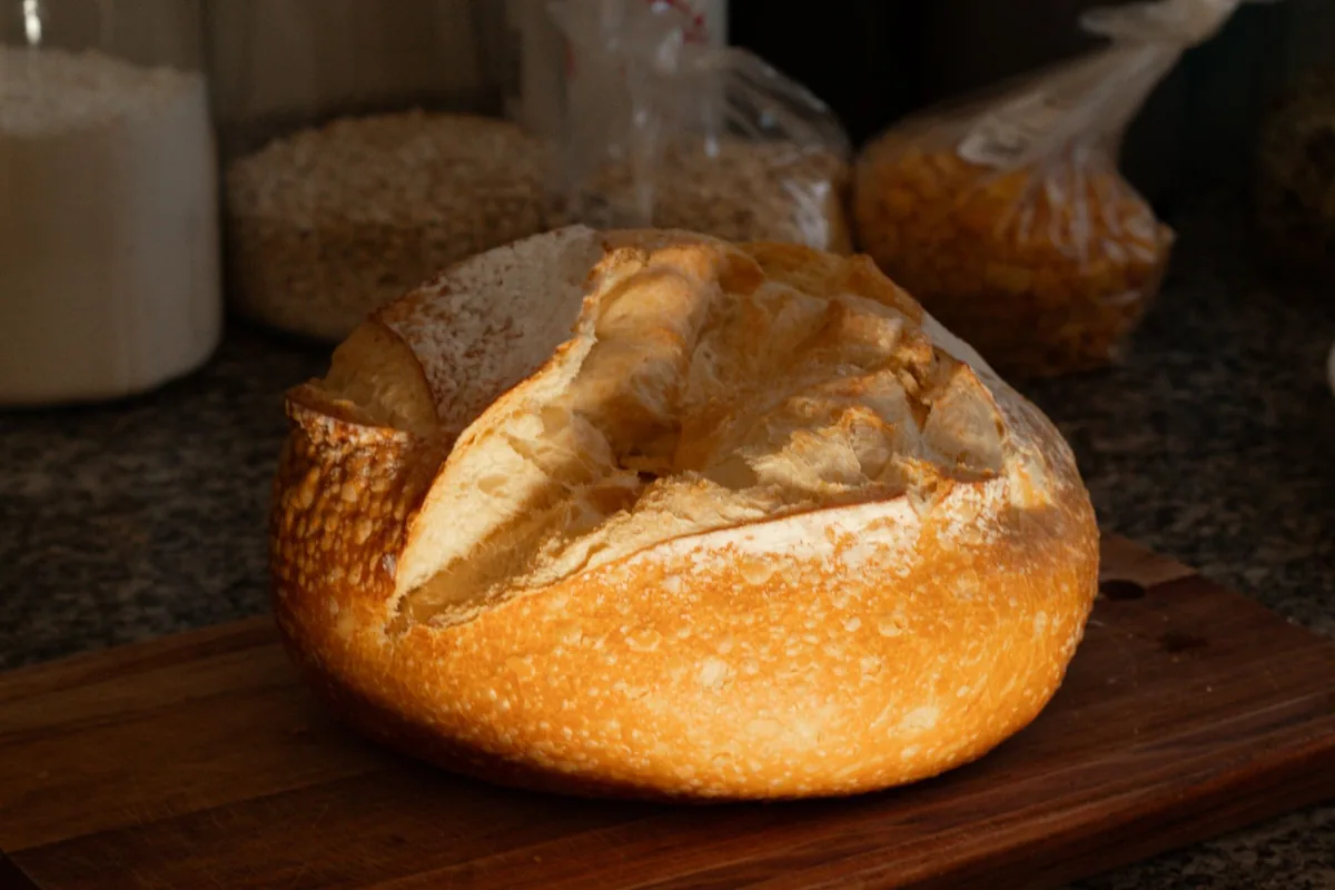 A crusty round loaf cooling