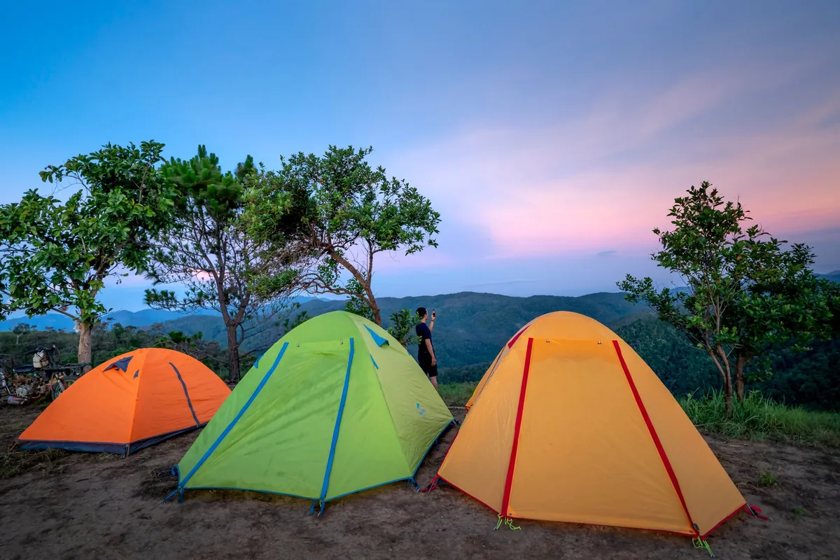 A forest camp at dusk