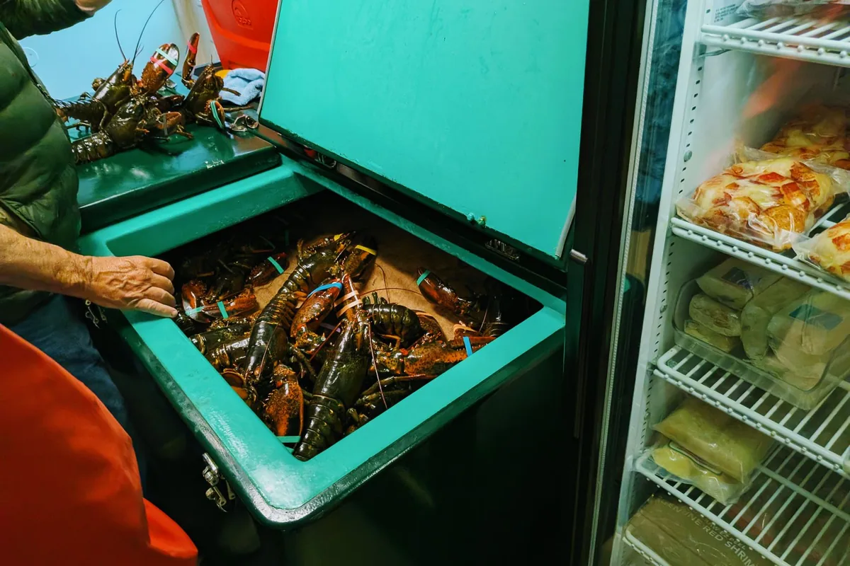 A freezer of portions