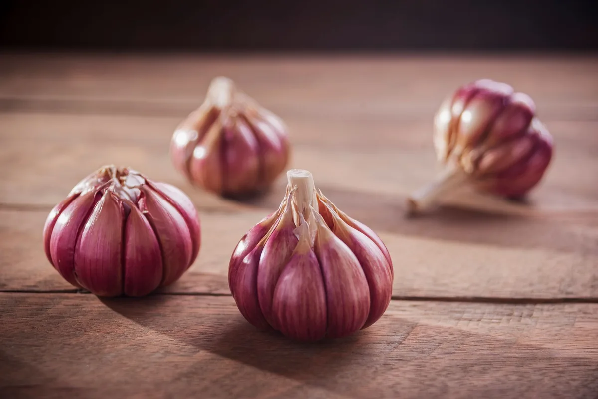 A head of garlic broken open
