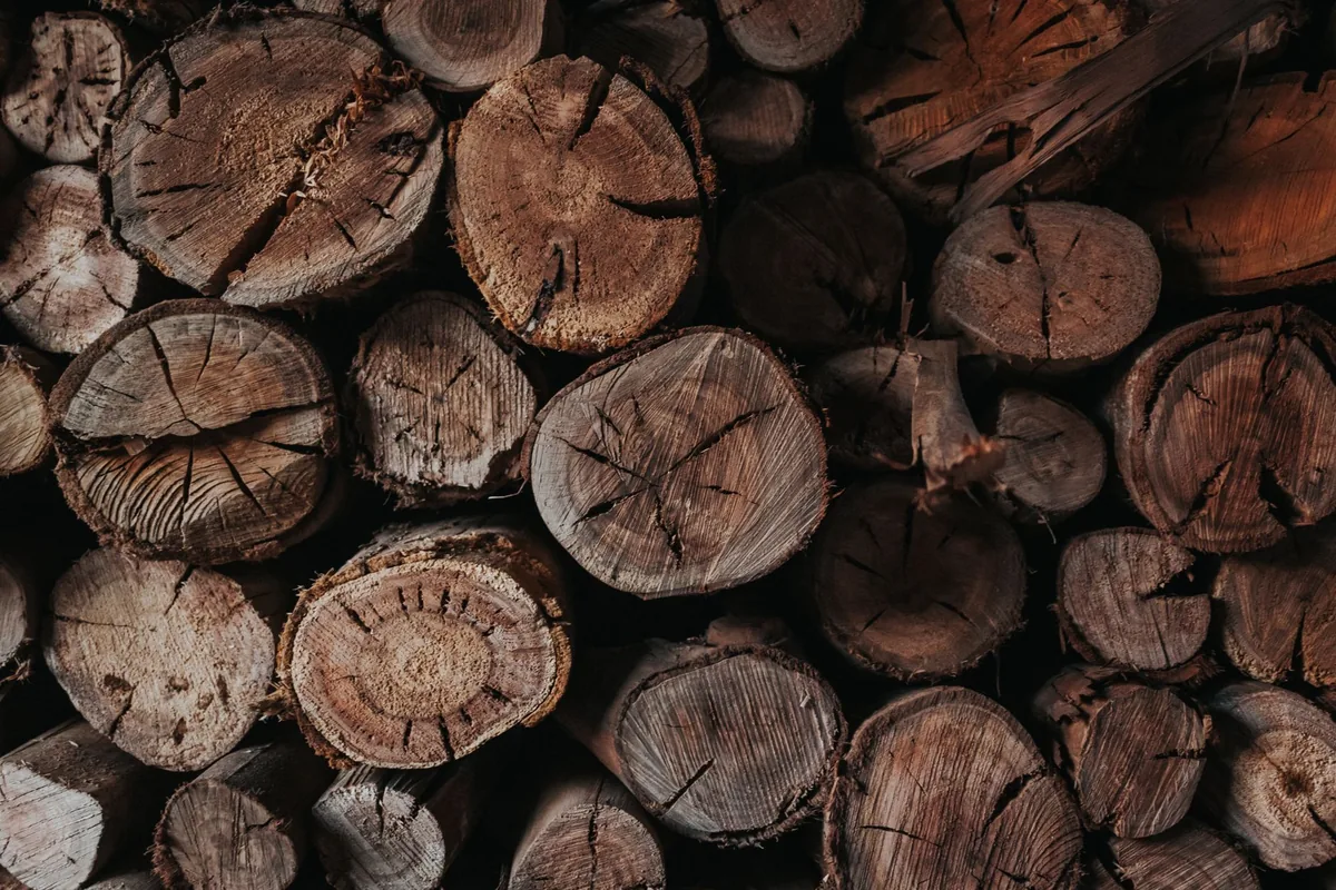A stacked log pile
