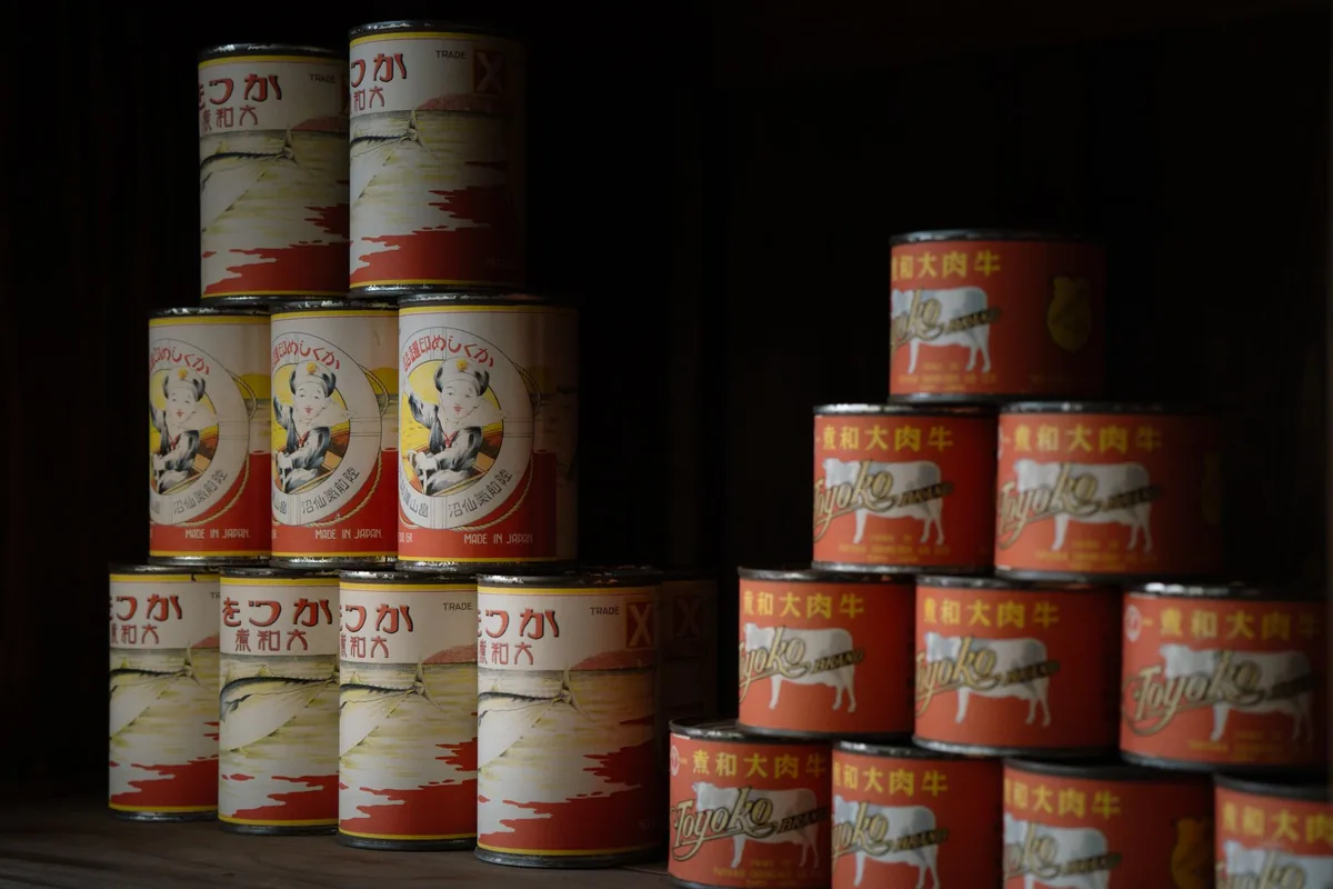 A row of tins in a cupboard