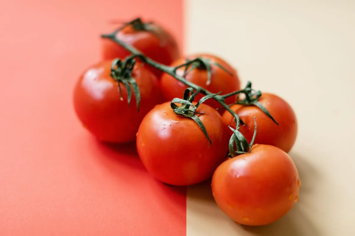 Ripe tomatoes