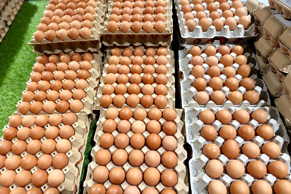 A tray of fresh eggs