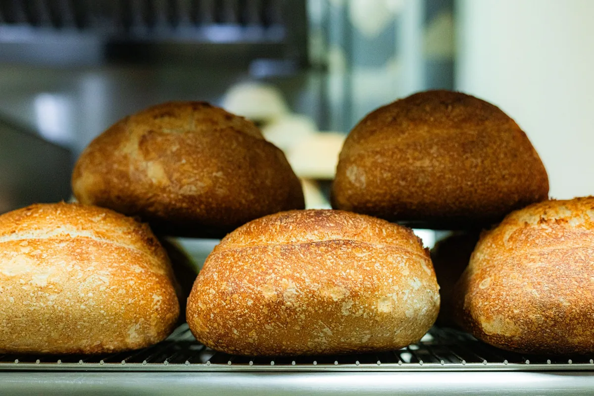 Bread cooling on a rack