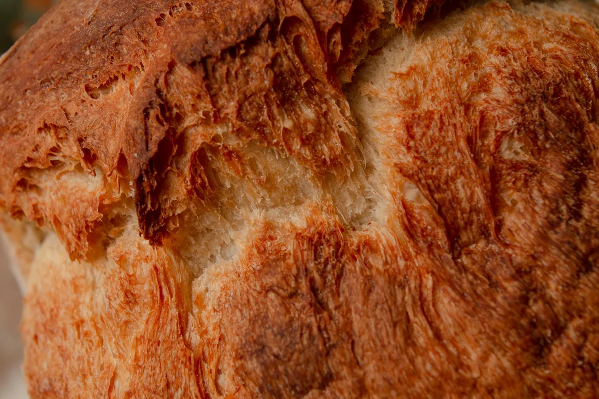 A close-up of a golden brown bread crust