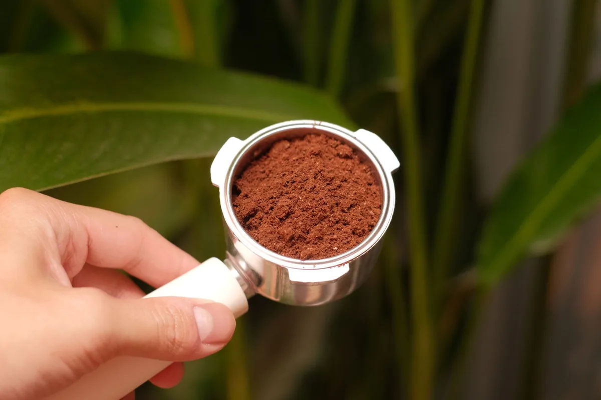 Coffee grounds in a portafilter