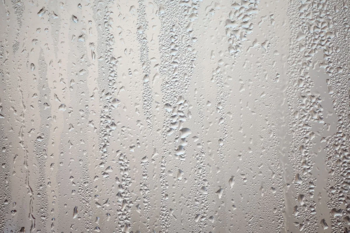 Condensation on a kitchen window