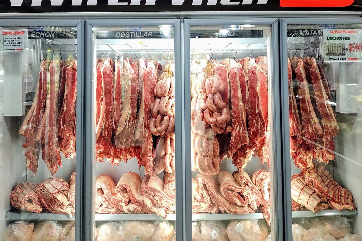 Cuts of meat on paper