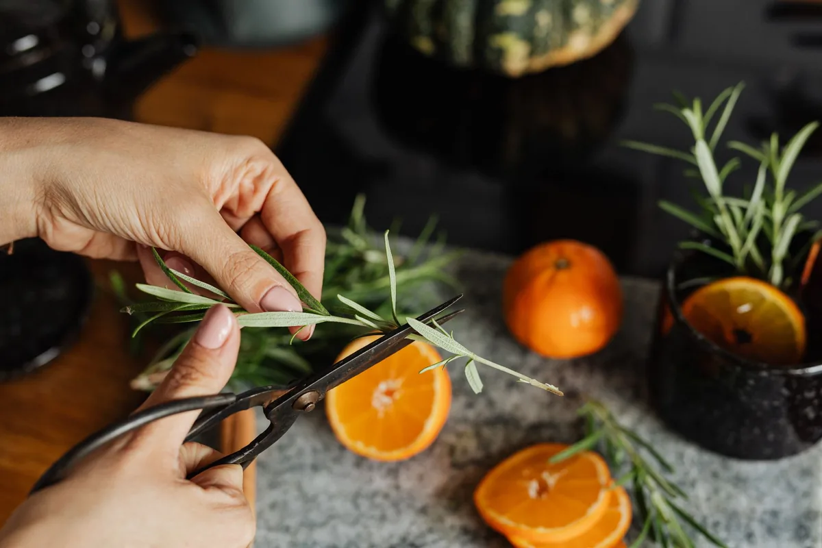 Cutting herbs with scissors