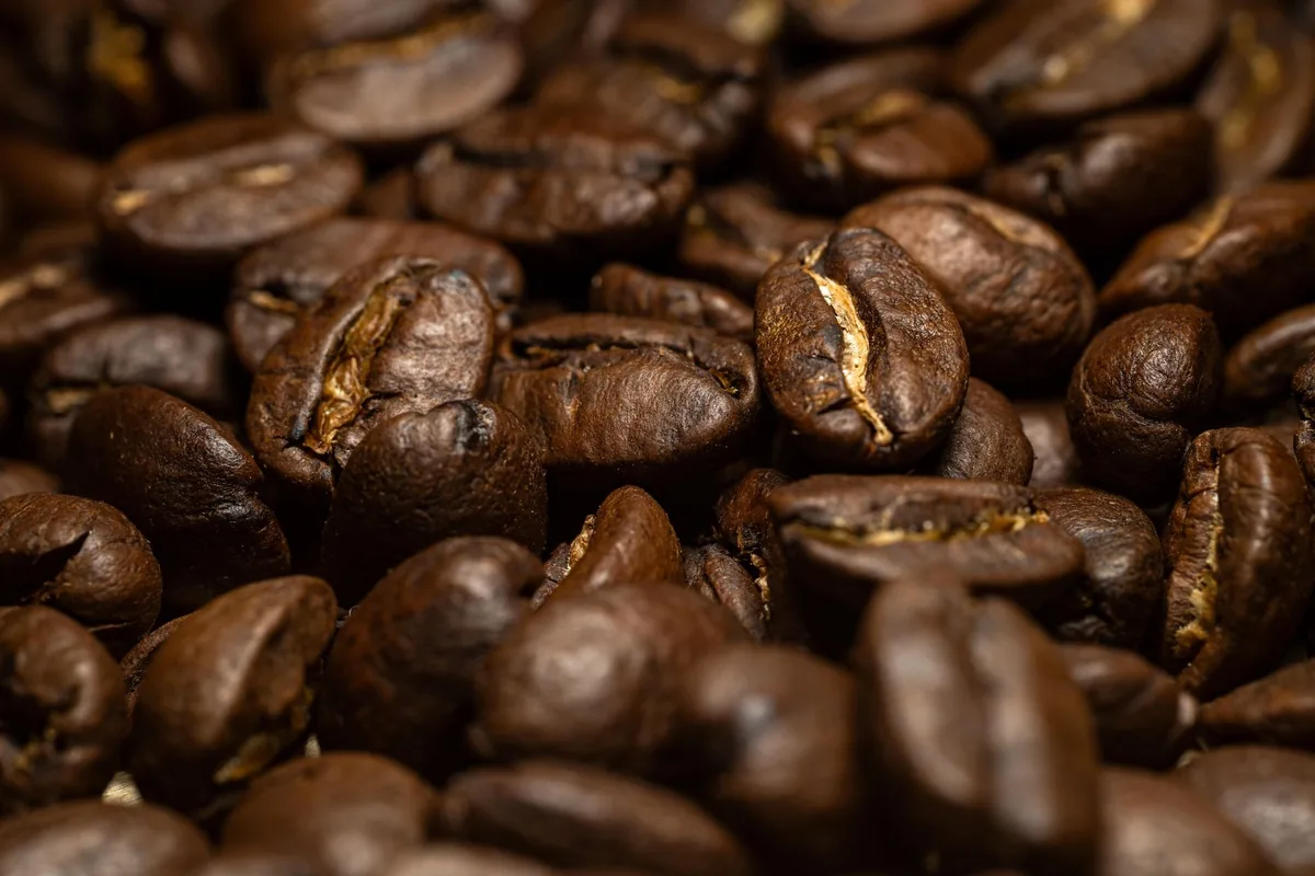 Dark roast coffee beans