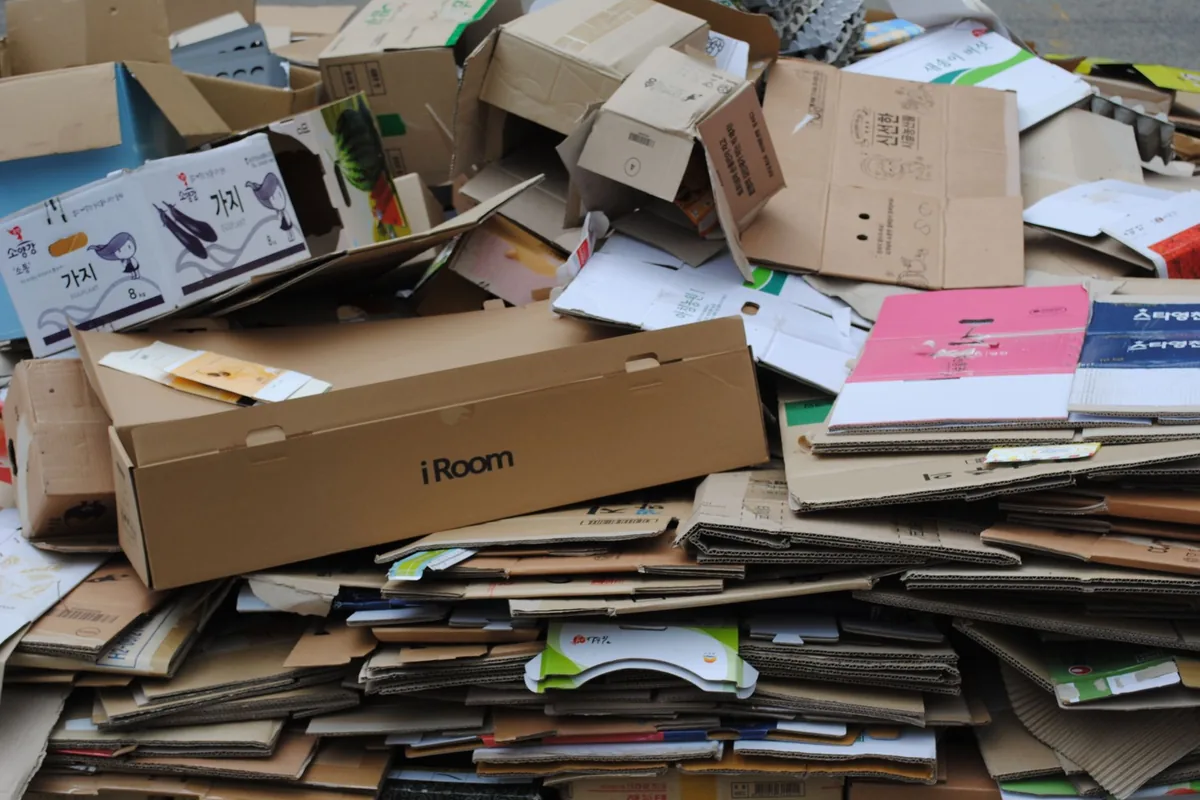 Flattened cardboard boxes
