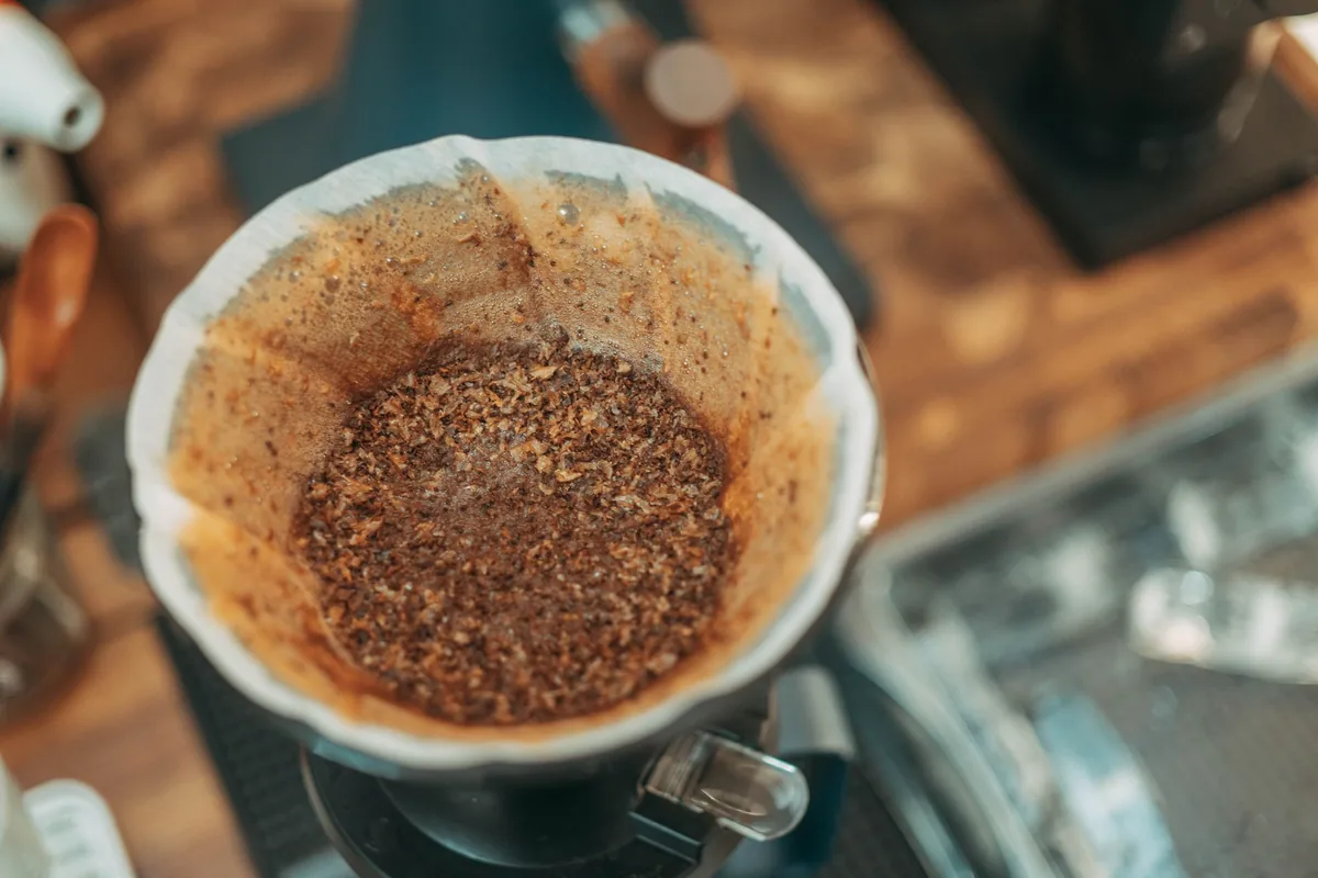 Fresh coffee grounds in a filter