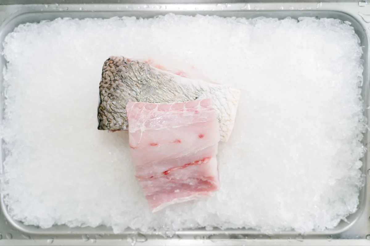 Fresh fish fillets on ice