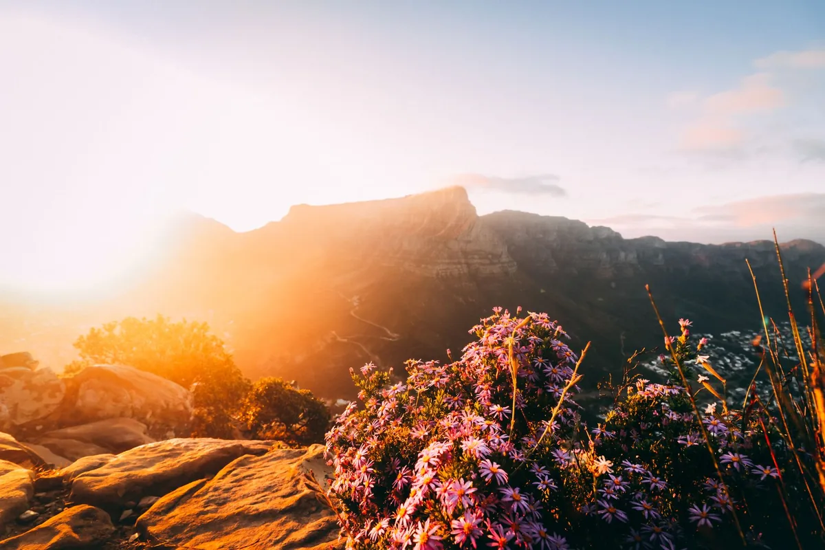 Table Mountain at sunset with vibrant colours
