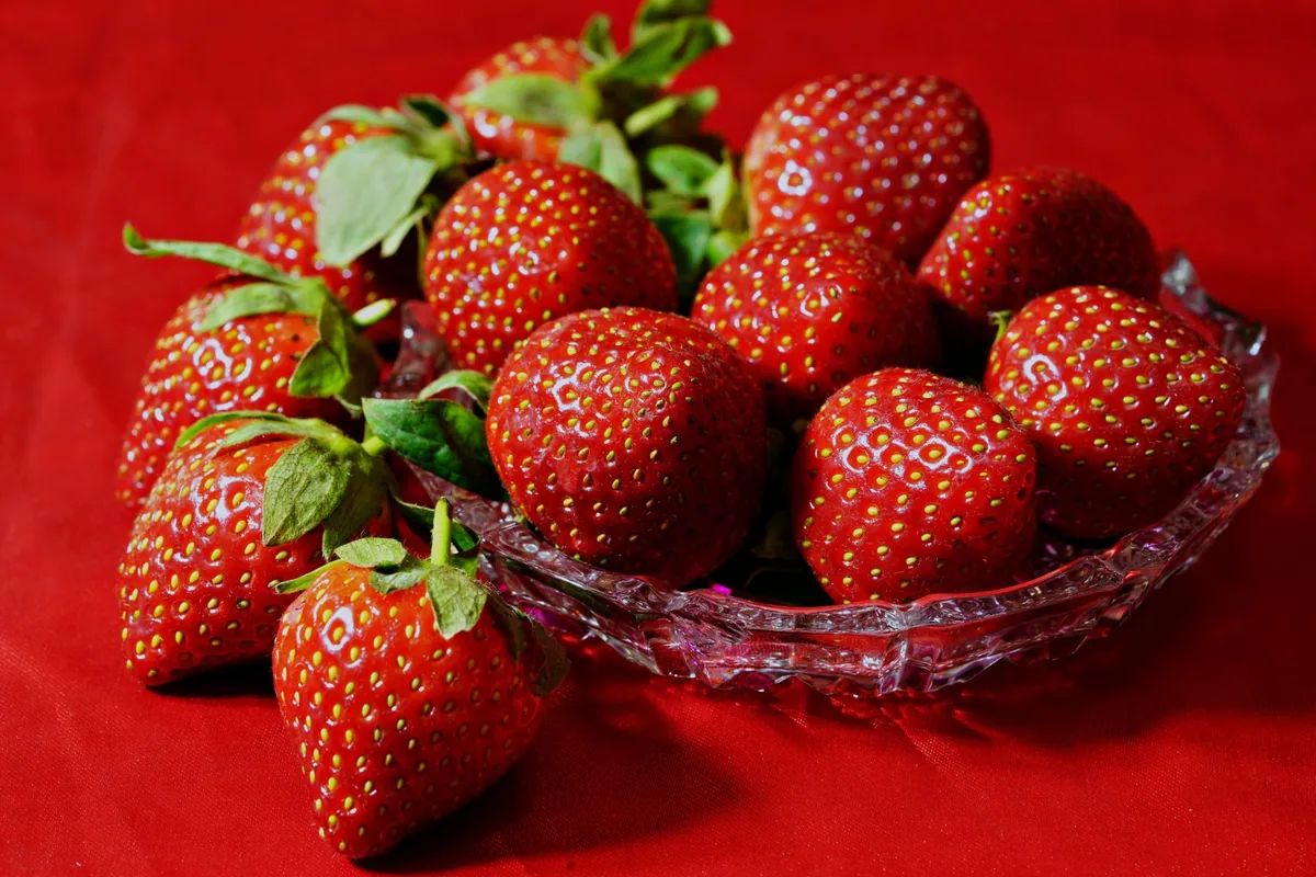 Strawberries in a bowl