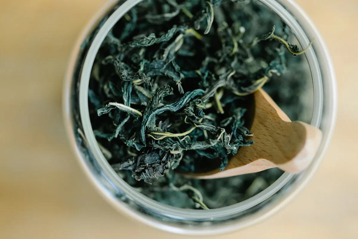 Loose leaf tea in a scoop