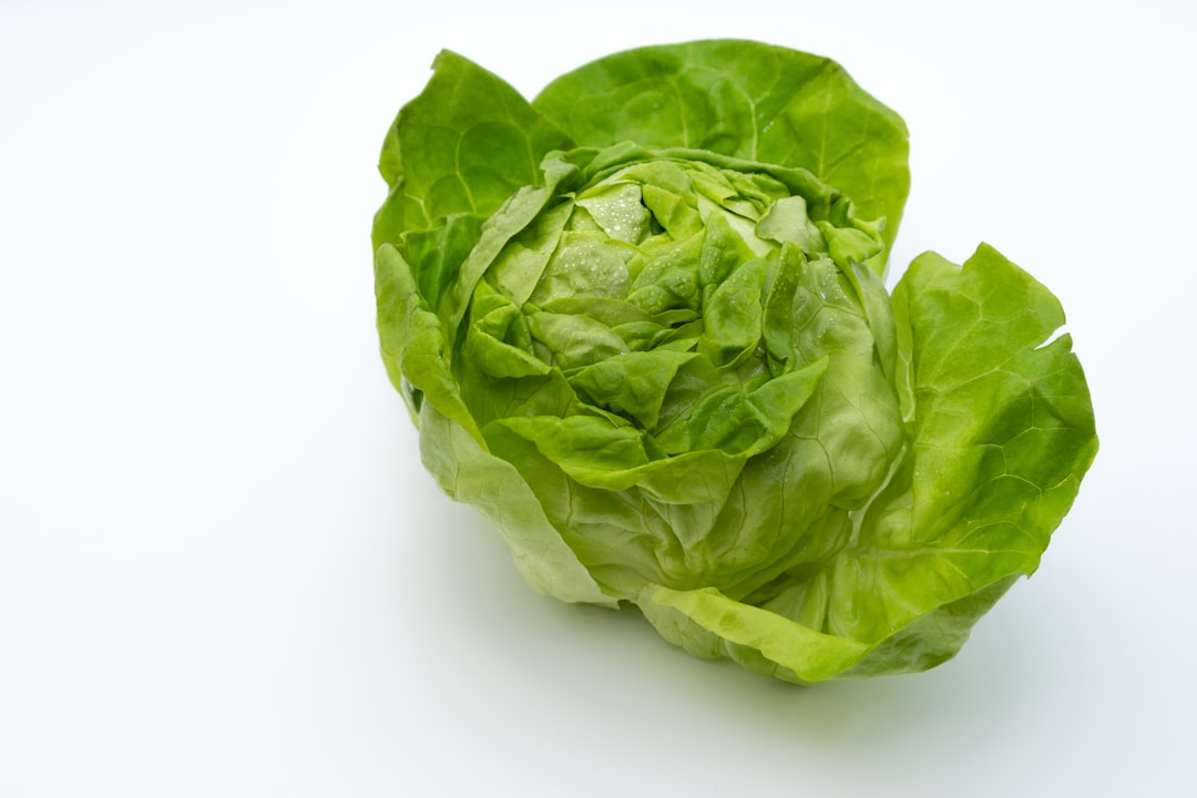 A head of iceberg lettuce