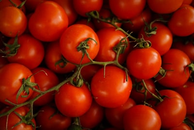 Fresh cherry tomatoes on the vine
