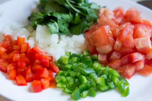 Diced red peppers, green peppers, onions, and tomatoes on a white plate