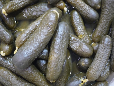 Whole dill pickles in brine