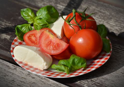 Fresh mozzarella and basil