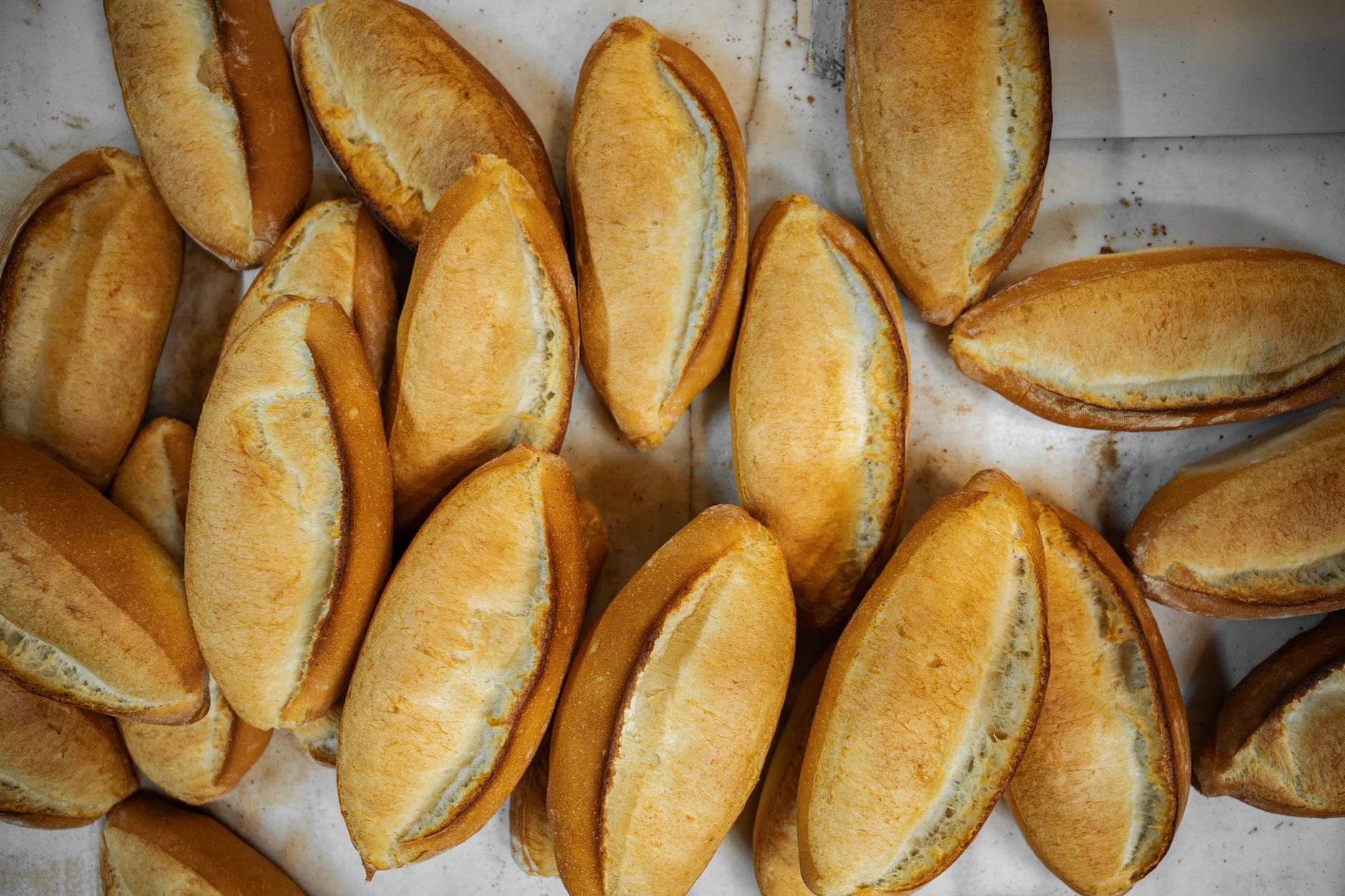 Freshly baked bread rolls