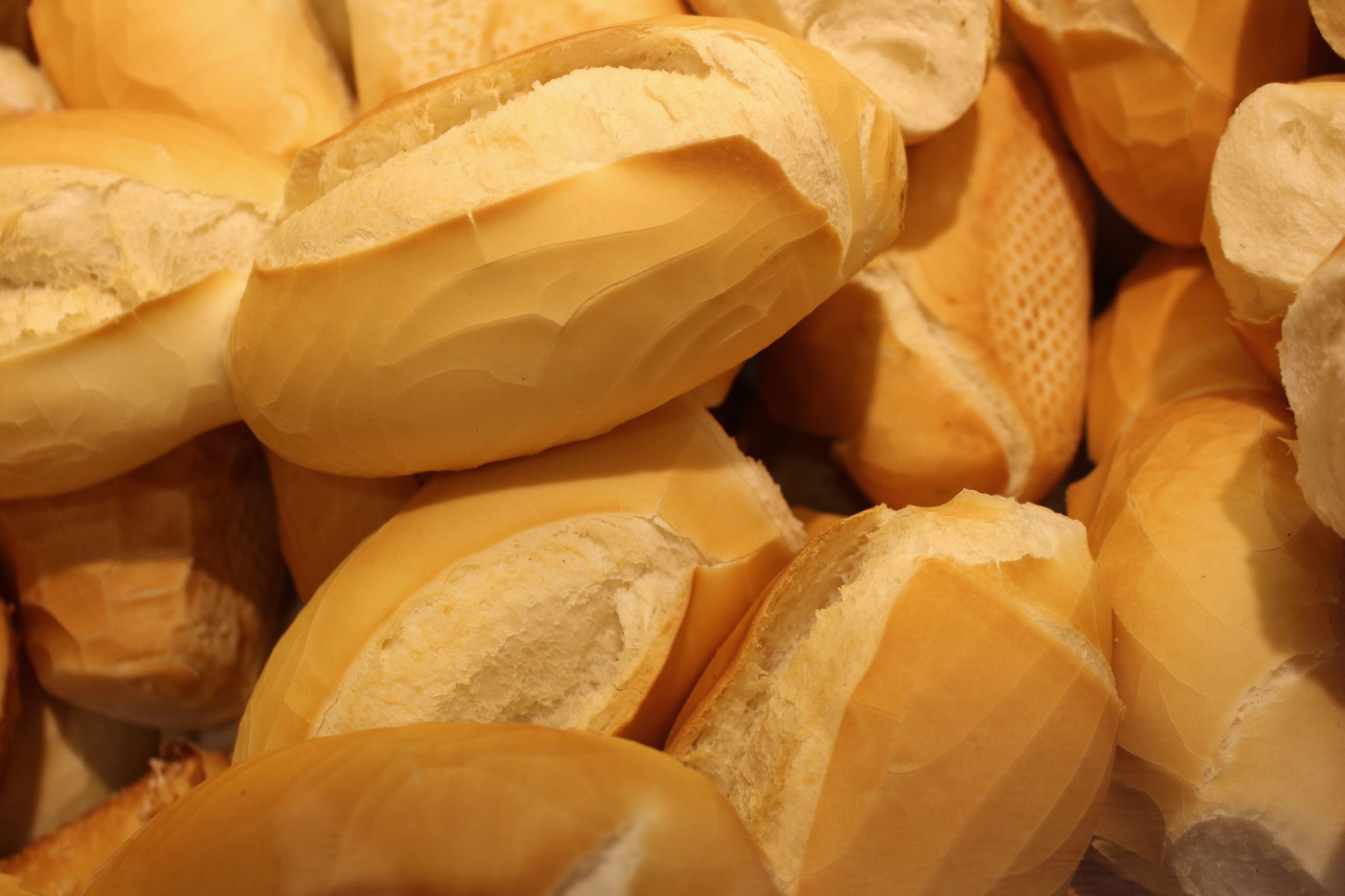 Freshly baked bread rolls