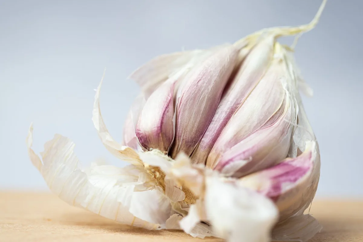 Papery garlic skins