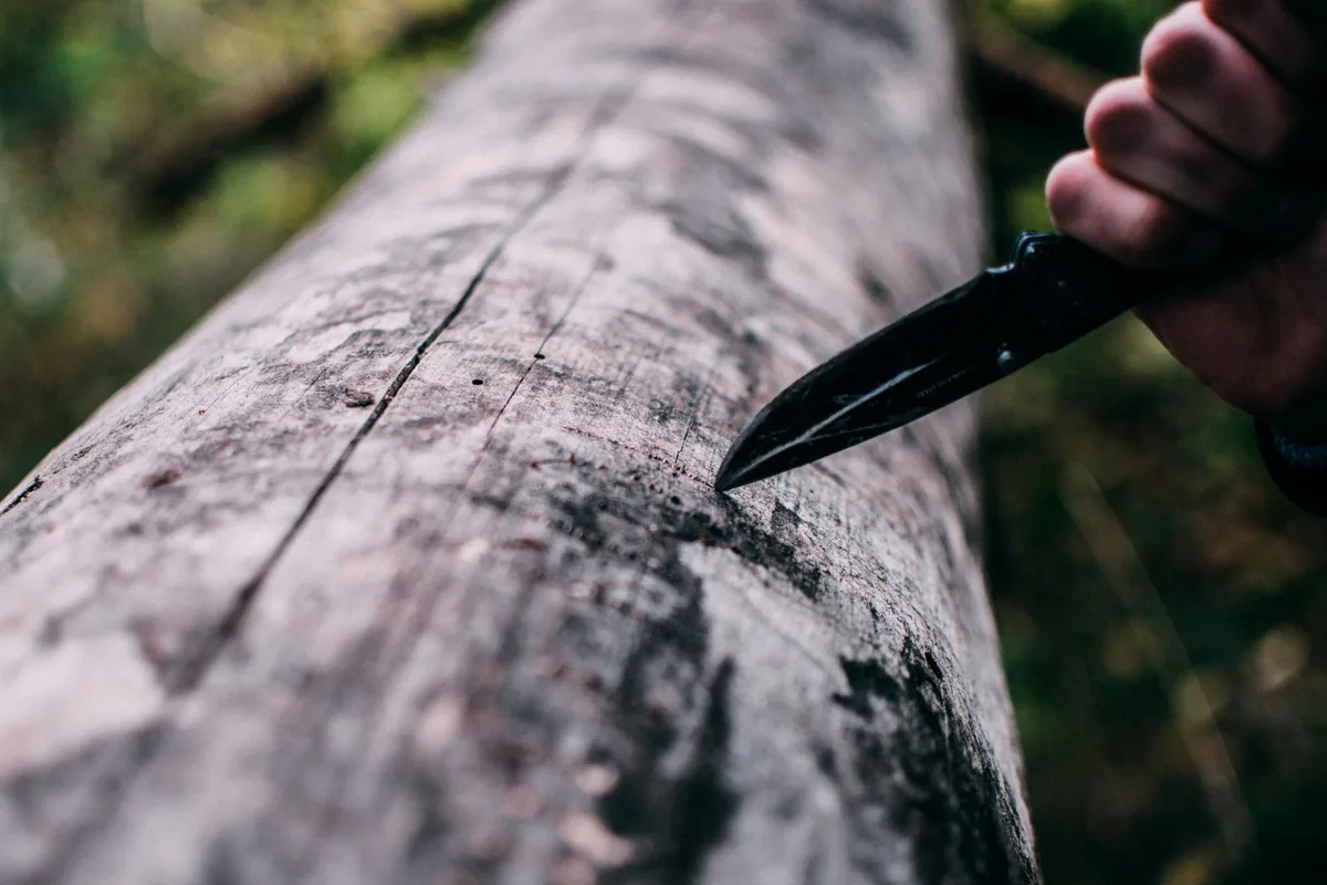 A pocket knife carving into a tree log