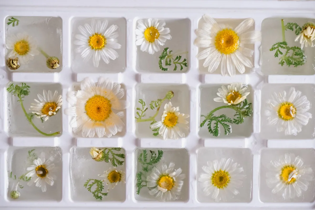 Portions frozen in cubes