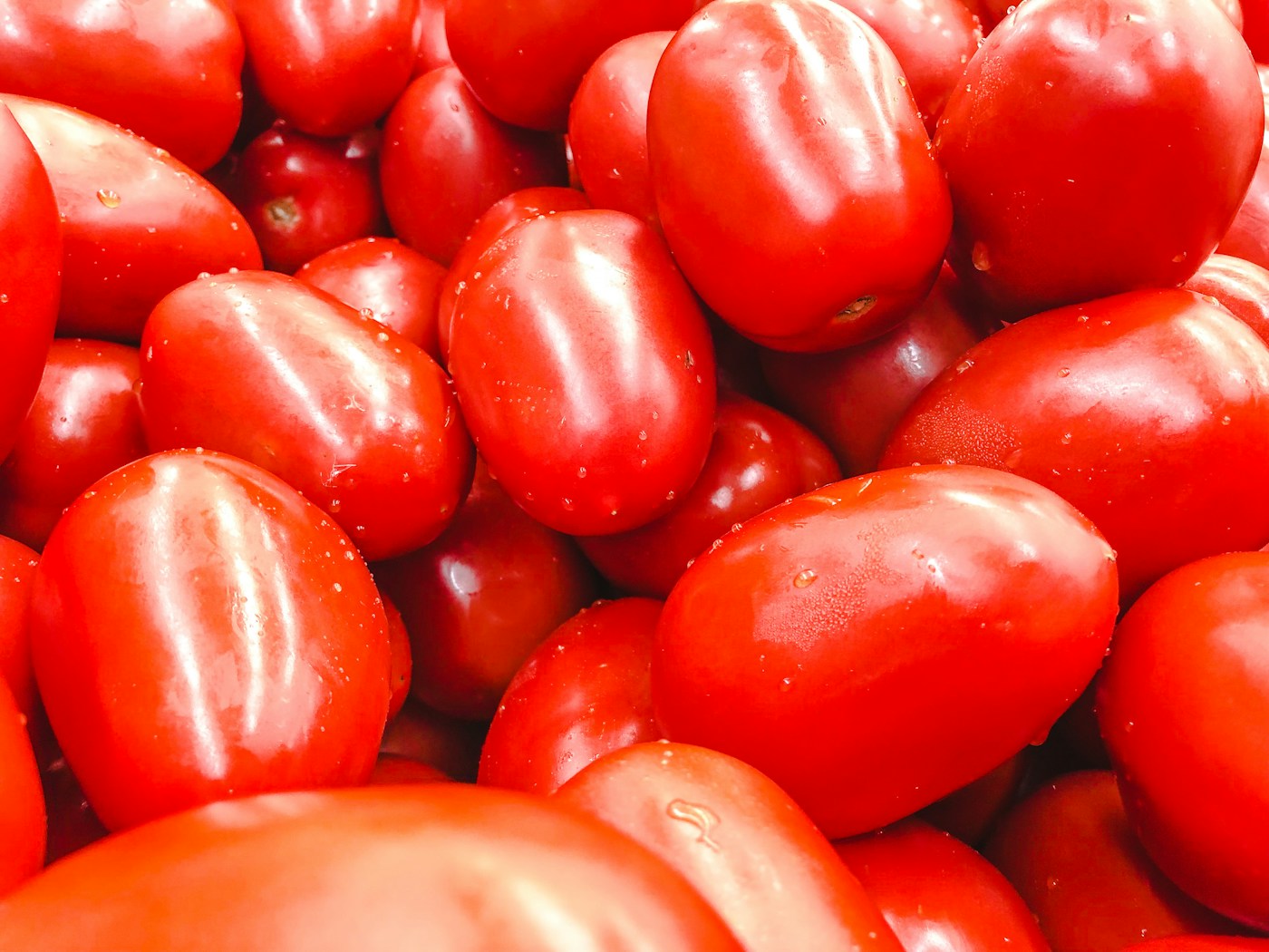 Pile of ripe red plum tomatoes