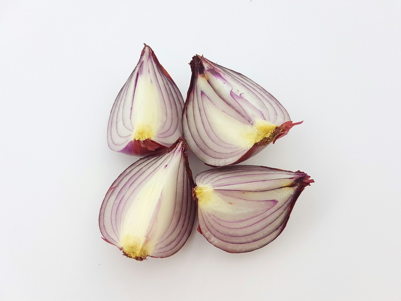 Fresh red onion sliced into wedges