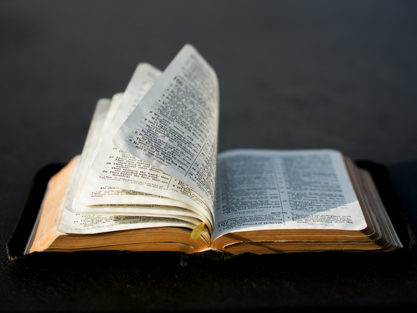 Open Spanish dictionary showing word definitions and etymology