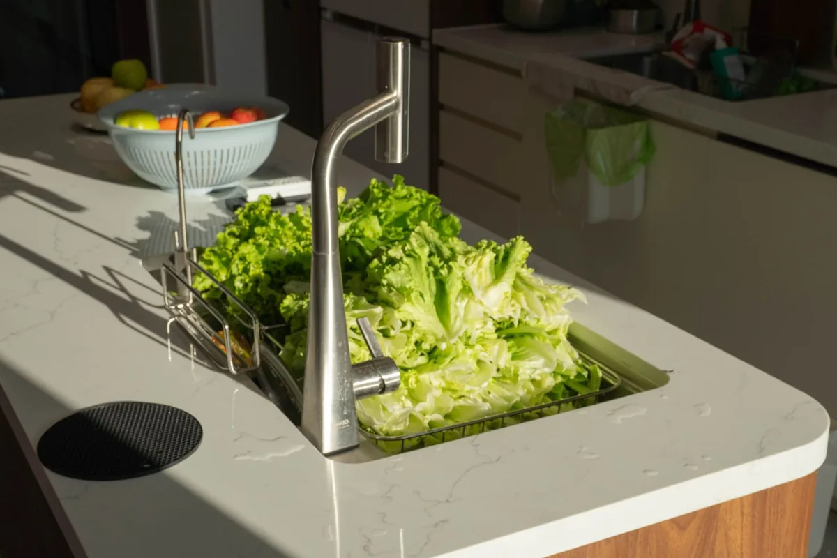 Washed lettuce leaves in a bowl