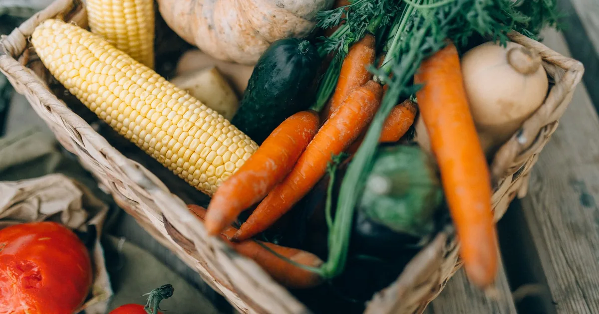A basket of carrots, corn and vegetables