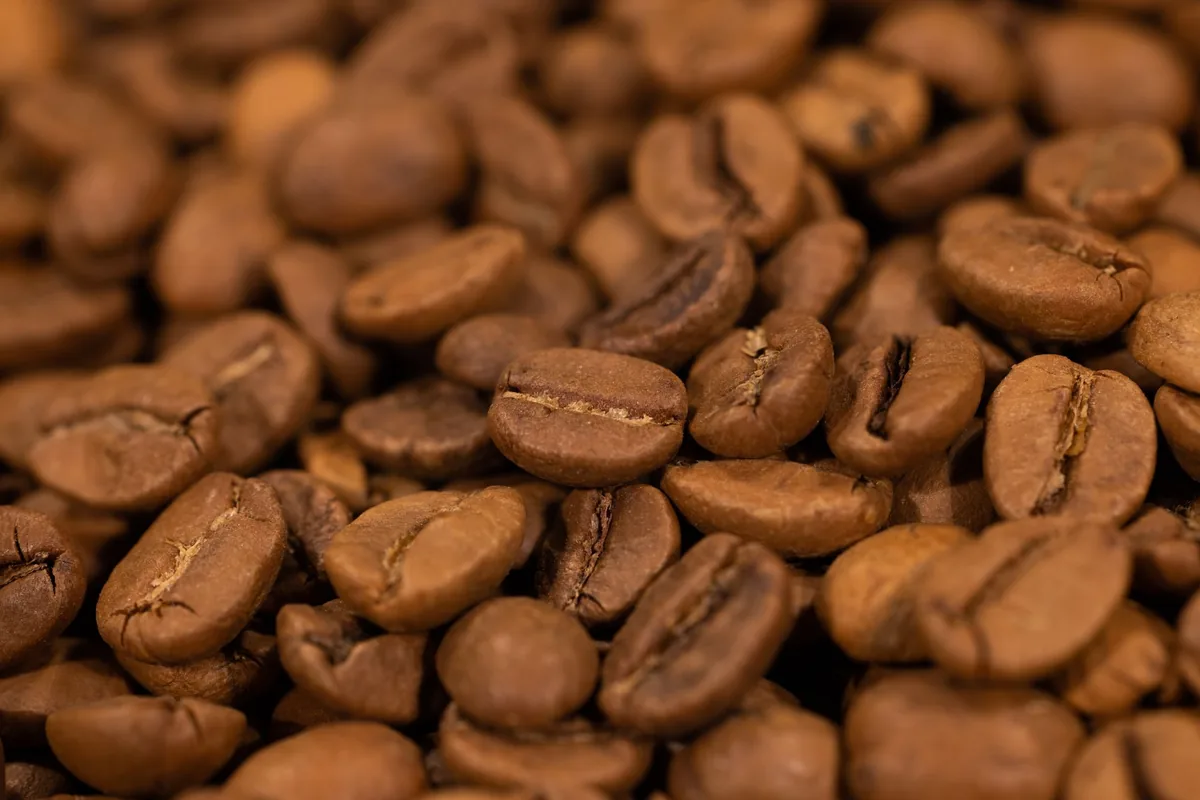 A close-up of dark roasted coffee beans