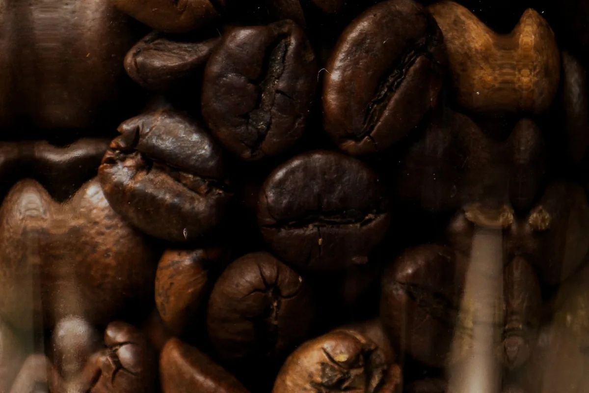 A close view of dark roasted coffee beans