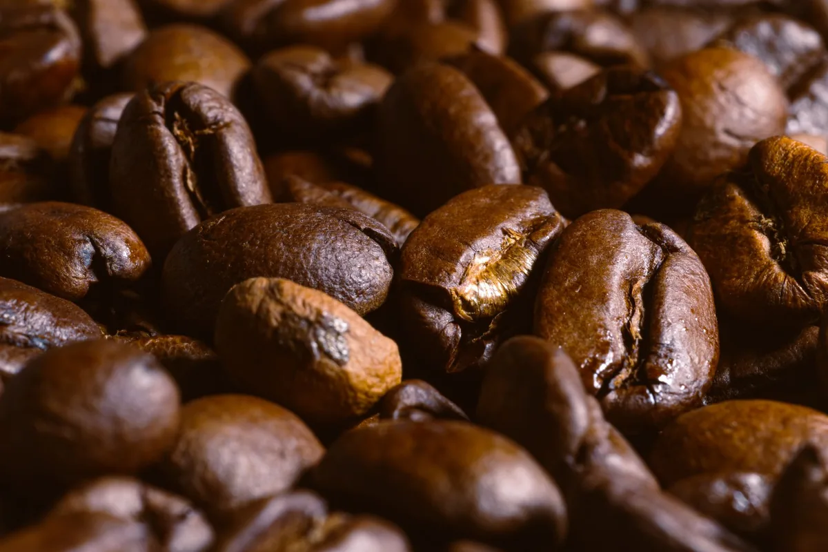 A close view of whole dark-roasted coffee beans
