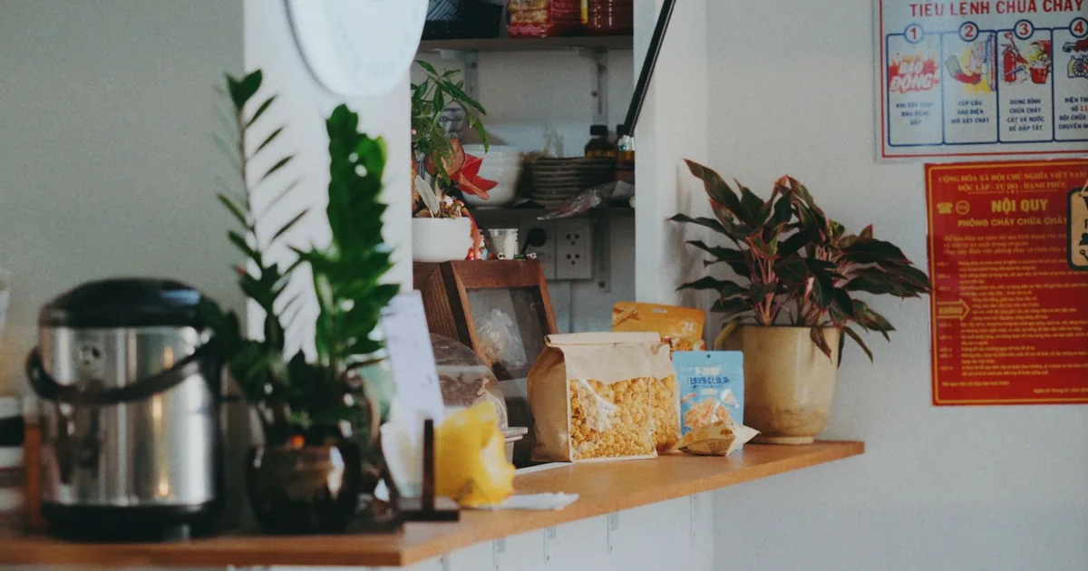A coffee maker on a kitchen counter among potted plants