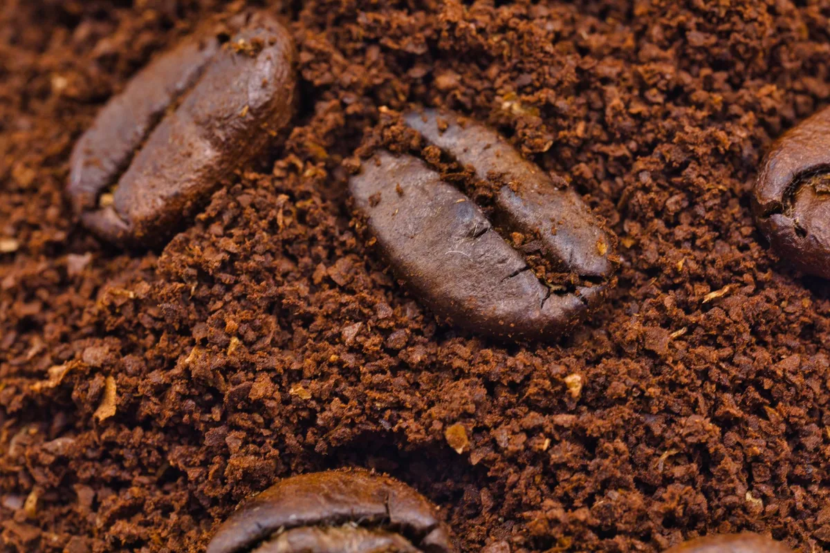 A macro view of freshly ground coffee