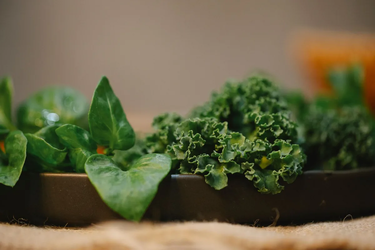 A pile of fresh green kale and spinach leaves on a light surface