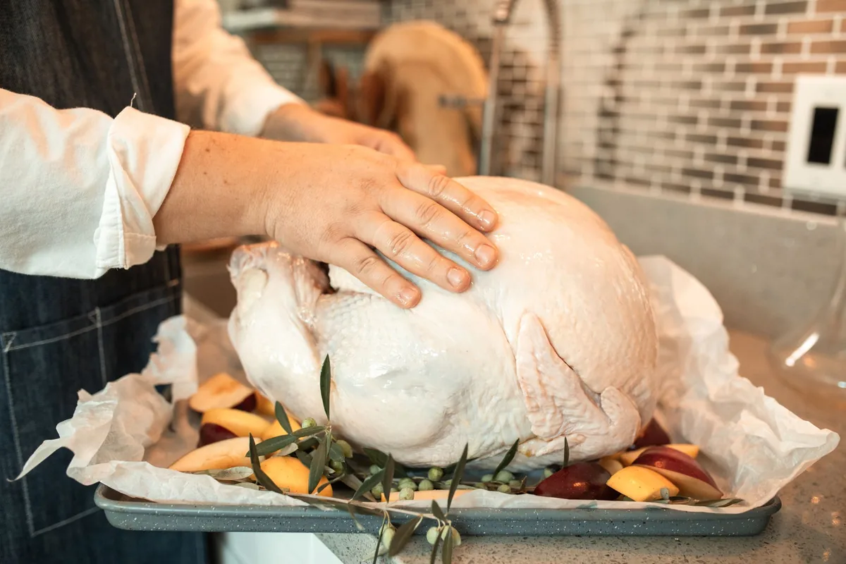 A raw whole turkey on a baking tray with herbs and citrus, ready for roasting