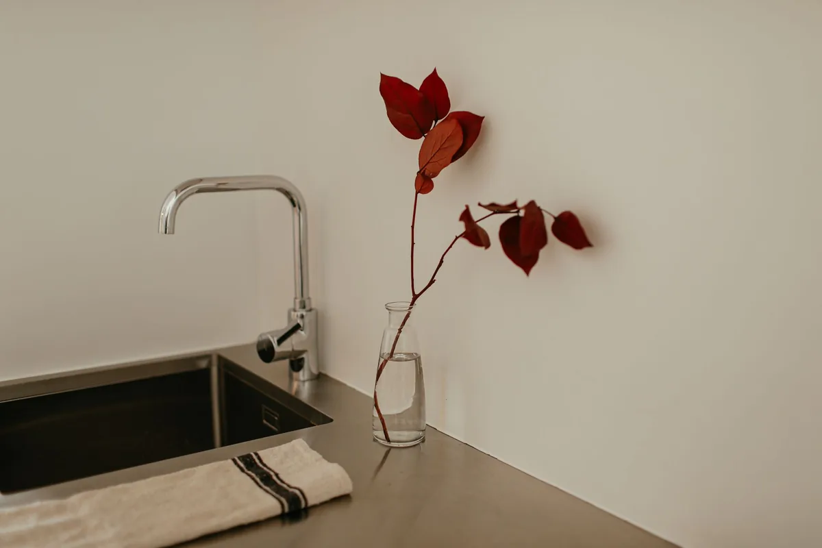 A steel faucet over a clean sink beside a sprig in a vase