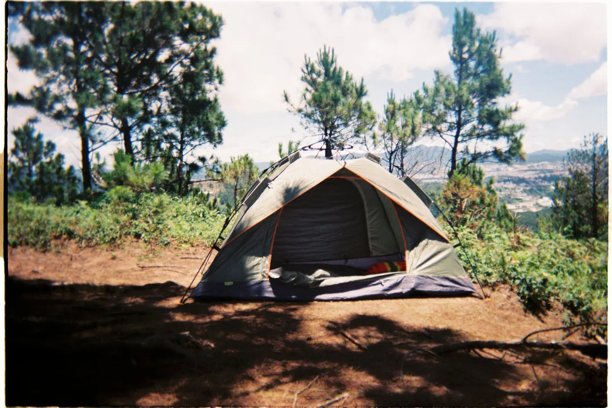 A tent pitched among pine trees on a sunny day