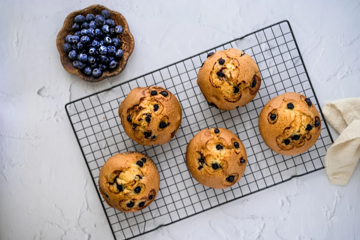 Blueberry muffins with domed tops cooling on a wire rack in daylight