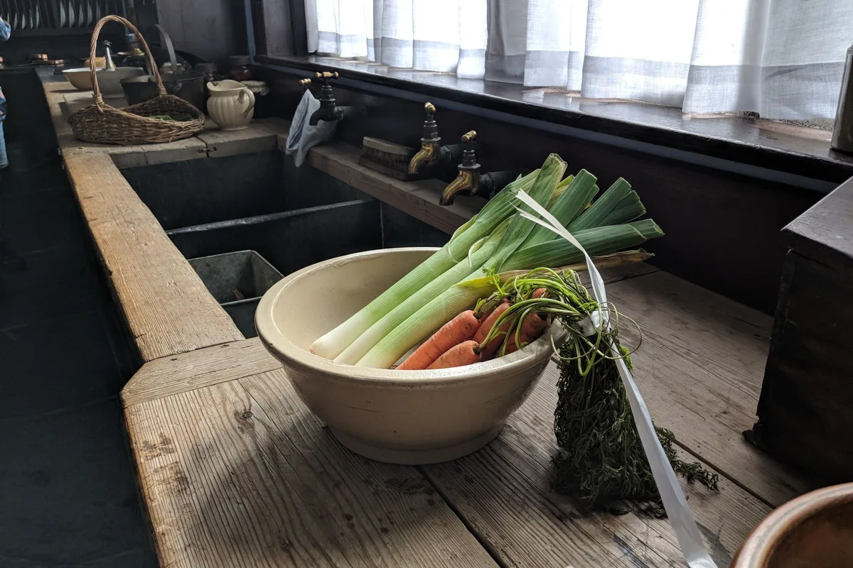 Bunches of fresh carrots and green vegetables on a light kitchen worktop